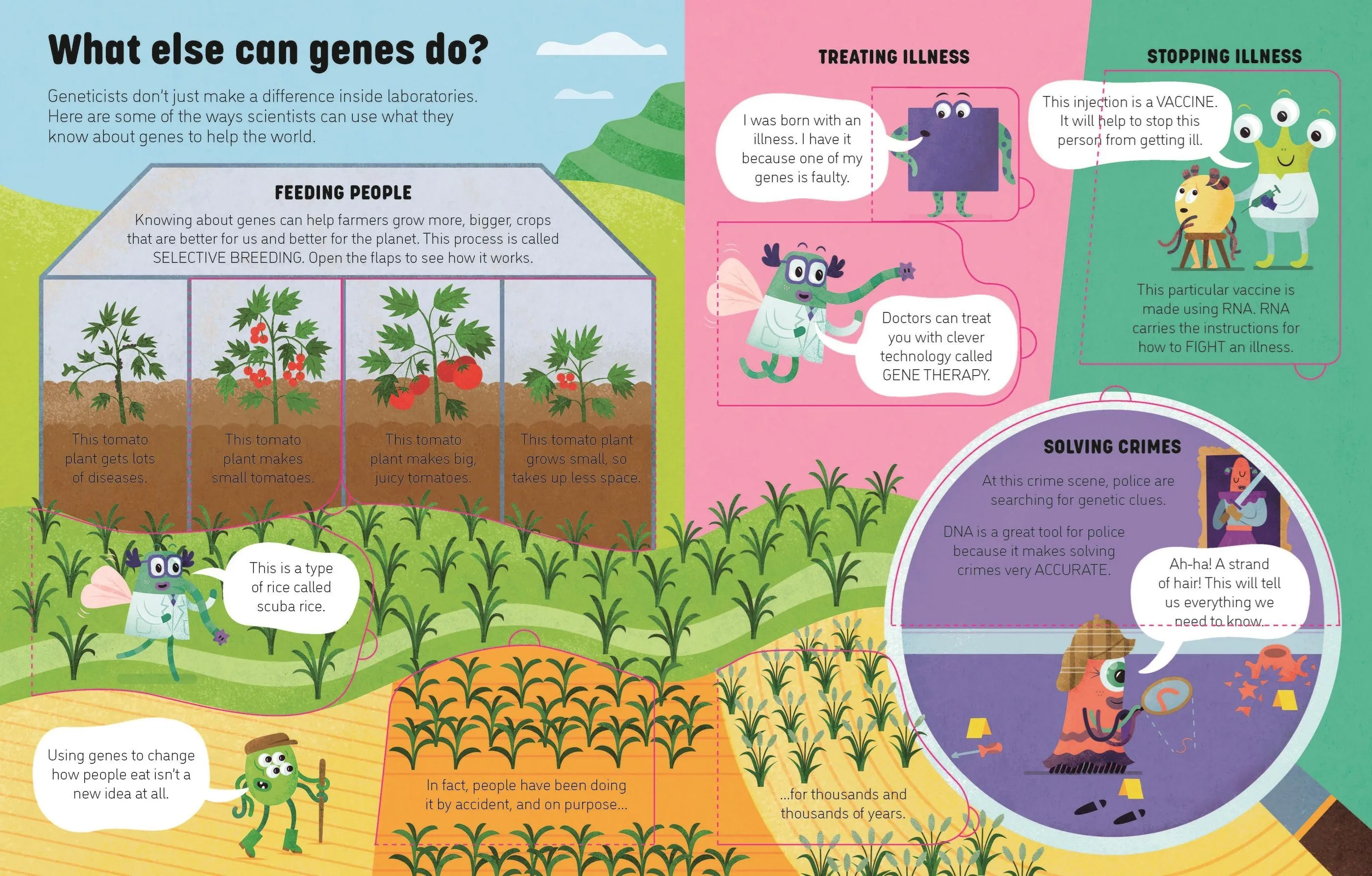 Book - See Inside Genes And DNA