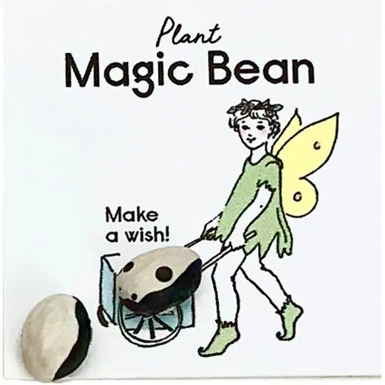 Little Surprizes™ -- Plant Magic Bean