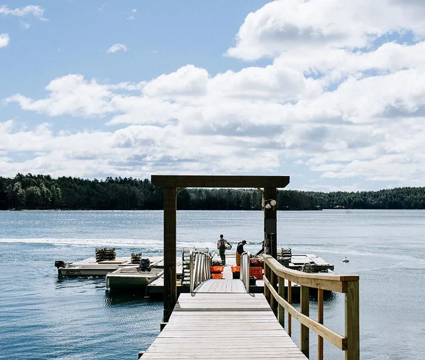 Norumbega Oysters from Damariscotta, ME